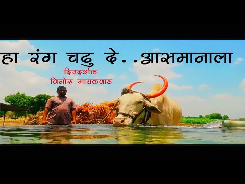 हा रंग चढू दे || Ha Rang Chadhu De Song || Shetkari Song Hd Video || जय जवान जय किसान