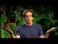 Opening To Bee Movie 2008 DVD True HQ