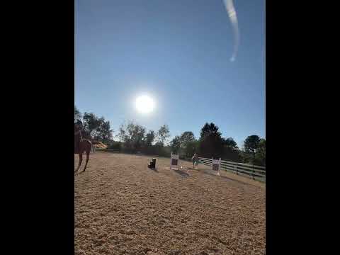 Loafer’s Lodge BowTie video 2