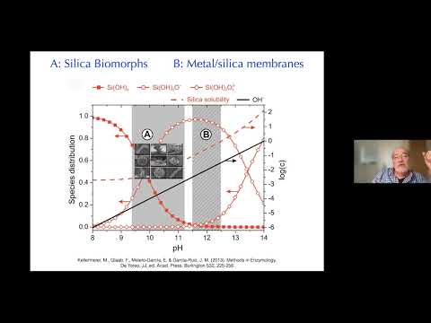 The role of silica in a lifeless planet