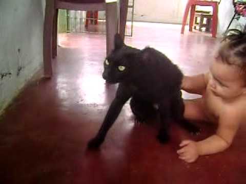 Elisama brincando com seu gatinho