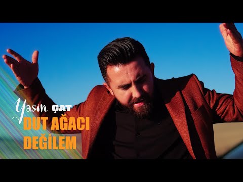 Yasin Çat - Dut Ağacı Değilem