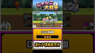 【★★★】本垢の真レジェンド片付けましょう《遺伝子情報販売所》に挑戦！【DNA果樹園】 #にゃんこ大戦争