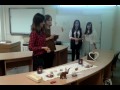Magic Box STORY