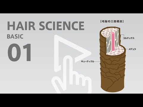 トリコグラムマチ科 - 定義