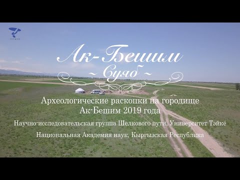 2019 Археологические -  Научно-исследовательская группа Шелкового пути Университета Тэйкё