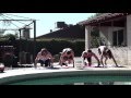 The Maine Steal My Sunshine Cover Feat Derek Sanders