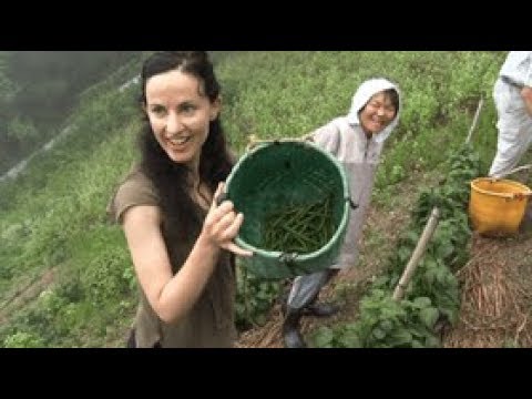 Explora los sabores regionales　Visitando la aldea escondida　Parte I