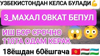 Иш бор 18ёшдан 60ёшгача 🔥узб тож кирг келса документ килиб беради 😱#работа #иш #жумуш