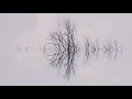 Love Tractor - Timberland - Original Mix (Official Video)
