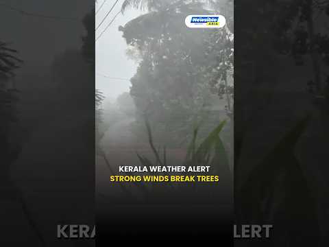 Kerala Weather: Heavy Rain, IMD Alert And Thunderstorms
