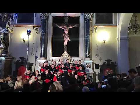 Rosite nebesa odozgor (D. Bubalo)