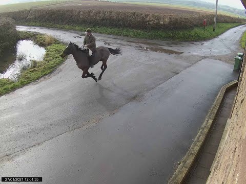 The Horse that Bolted