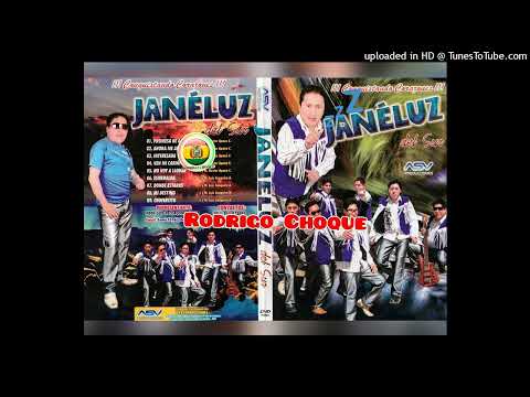 No Voy A Llorar - Janeluz Del Sur