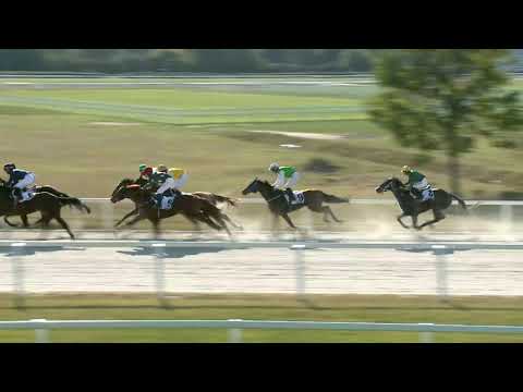 2021.10.03. 04. futam - NYERETLENEK VERSENYE (V.kat.) (szintetikus pálya)