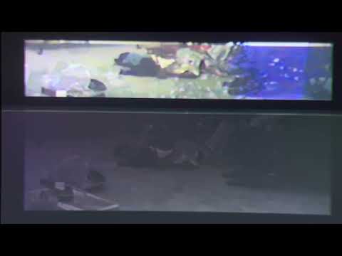 Nolte Christmas in Dumas 1990