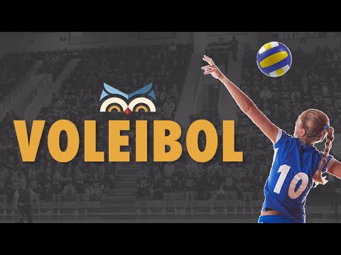 Volleyball - Rules and Fundamentals - Toda Matéria