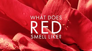 Kenzo If Red Had Scent, Would Be Le Rouge Flower (2026) – Official Trailer Overview