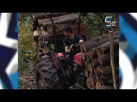 Traktor IMT 558 izvlači 3 metra drva - ogrev iz šume