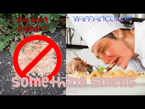 How to Cook Baffangoule! Family Recipe 