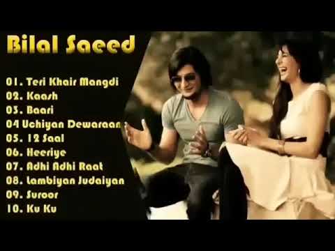 #Bilal Saeed song#sad song#old song#hit song #Punjabi song#cat#respect for real owner