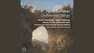 Wandrers Nachtlied I: Der du von dem Himmel bist