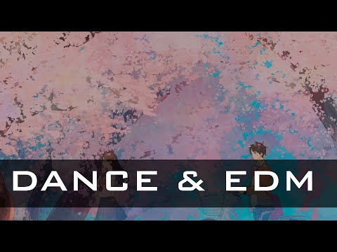 Nirukachi - Love [Dance & EDM]