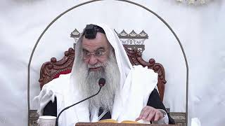 הרב ישי פרי שליט״א |שיעור אור החיים | פרשת צו תשפ״ו