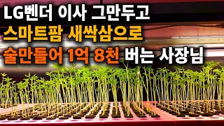 LG벤더 이사 그만두고, 스마트팜 새싹삼으로 술만들어 연매출 1억 8천 버는 농부님 [삼오식품, 전통주]