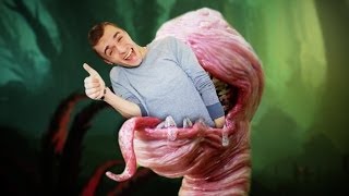 LE CHAMPS DE BATAILLE DU WTF - Plant vs Zombie