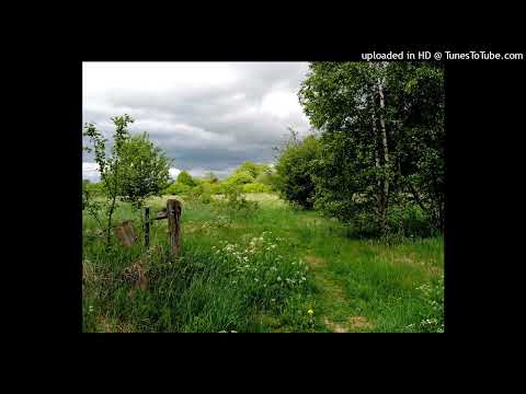 Patrik Isaksson, Uno Svenningsson, Tommy Nilsson - Håll mitt hjärta hårt