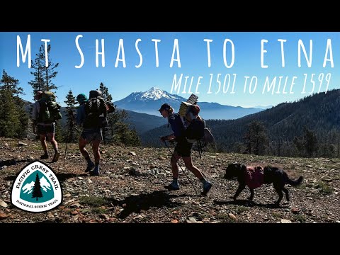 Episode 21 | Downward Spiral | Pacific Crest Trail 2022