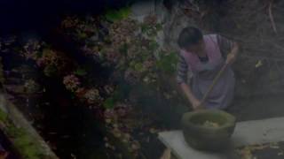 CARBON CREAM - Girl Vs Wild -