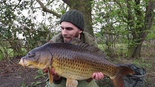 Carp Fishing - Mini Rainbow 3: Attack of the Silt Pig