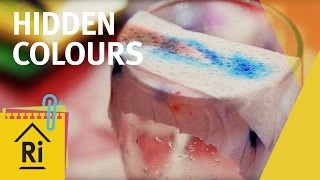 Paper chromatography is a powerful scientific tool, and this simple experiment teaches children the basics of it. "There's a magic moment in the film where a young girl works out for herself that it can be used as a tool for detective work," says Alom.