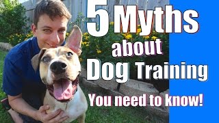 5 Strangest Dog Training Myths