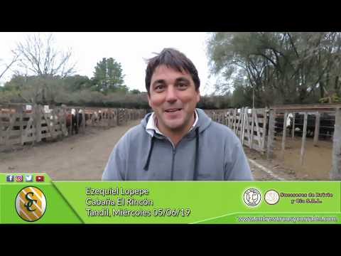 05-06-19 - Ezequiel Lopepe - Cabaña El Rincón - Tandil