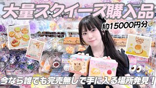 入手困難なスクイーズを身近な雑貨屋さんで大量発見！15,000円分買って開封した☁️🩵