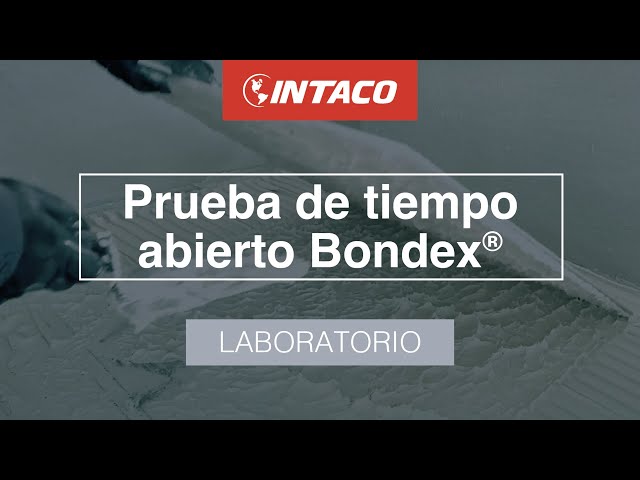 Prueba de Tiempo abierto bondex