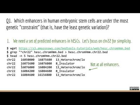 Applied Computational Genomics - 14 - Real-world analyses with bedtools