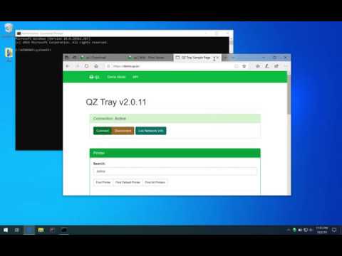 QZ Tray - Print Server - Windows