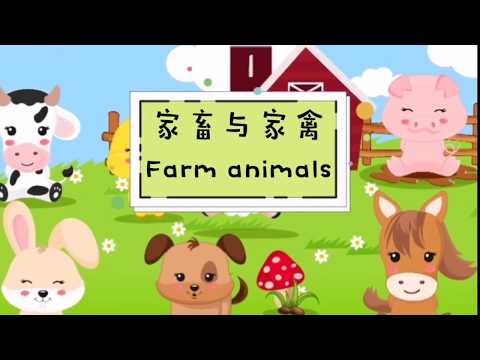 , title : '家畜与家禽 Farm animals (Prasekolah SJKC)'