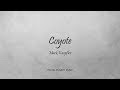 Mark Knopfler - Coyote (Lyrics) - Ragpicker's Dream (2002)