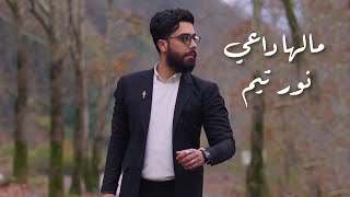 كلمات اغنية مالها داعي نور تيم