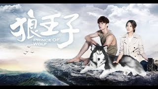 Prince Of Wolf Trailer 2016 Drama Taiwan