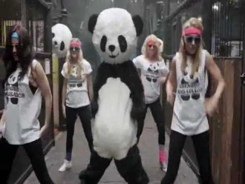 Wilda Panda aka W23 - PANDA STYLE (gangnam style mashup - Vodka King, Elephant Man, Fr