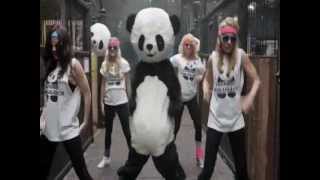 Video PANDA STYLE (gangnam style mashup - Vodka King, Elephant Man, Fr