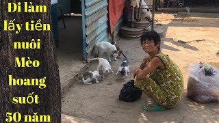 Đi Tìm Sự Thật về người phụ nữ nghèo, suốt 50 năm đi làm kiếm tiền cho Mèo ăn.