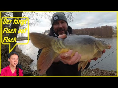 Carp fishing in spring with method feeder