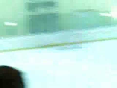 ATSE Graz Siegestaumel nach 27 Jahren